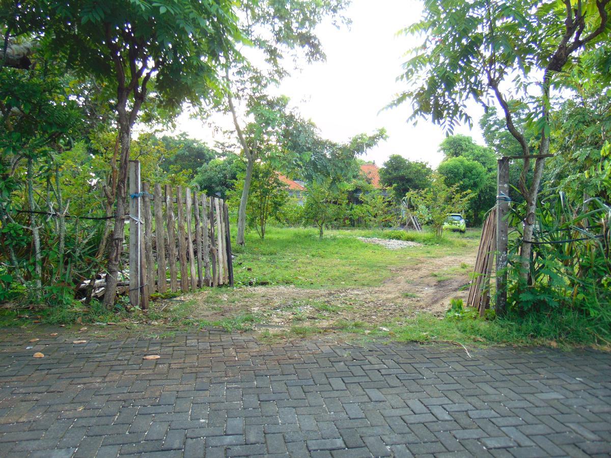 Arumanis Homestay 페카투 외부 사진