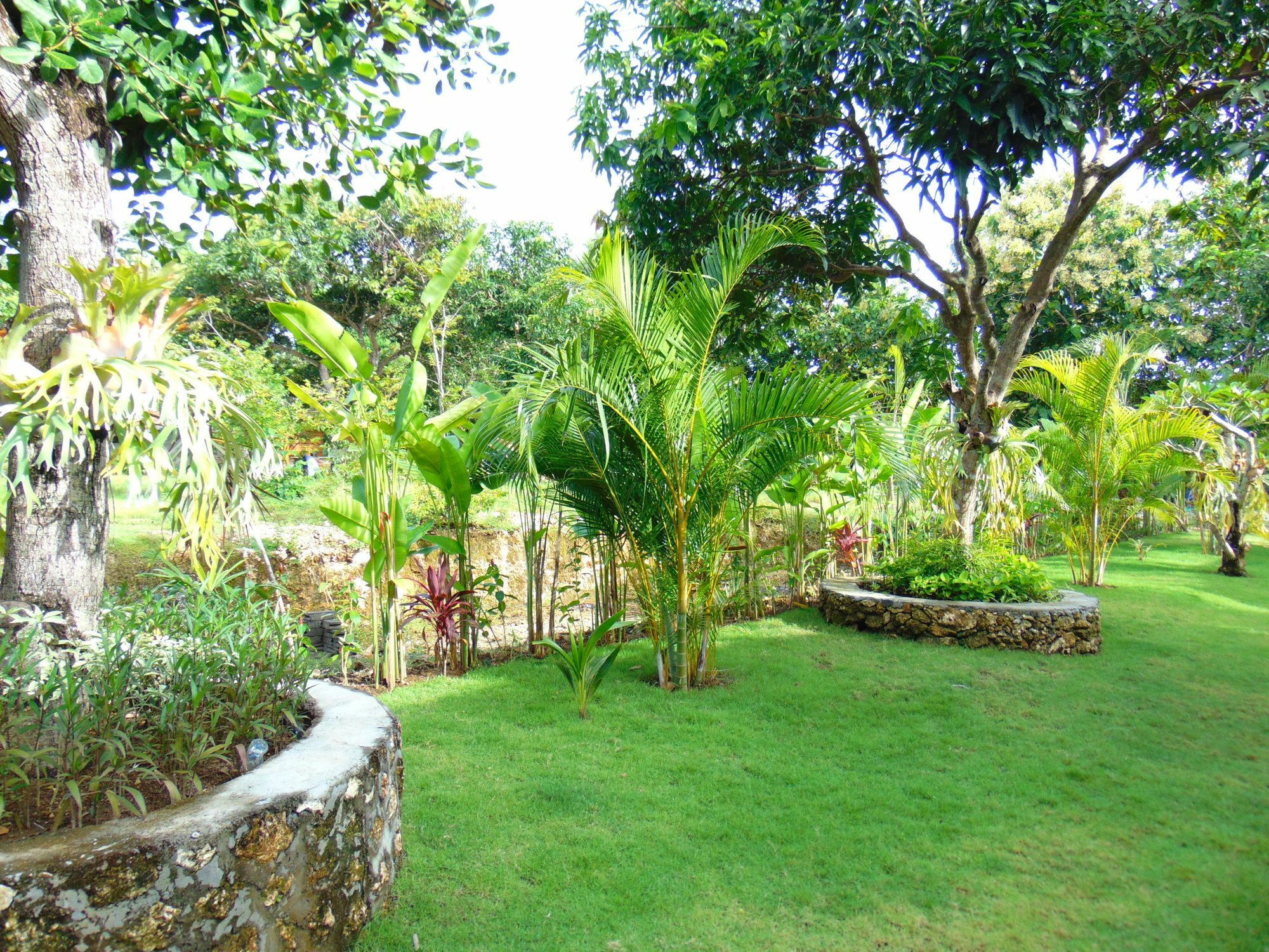 Arumanis Homestay 페카투 외부 사진